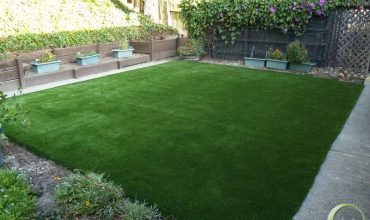 Synthetic turf & sod in a backyard of San Rafael, California