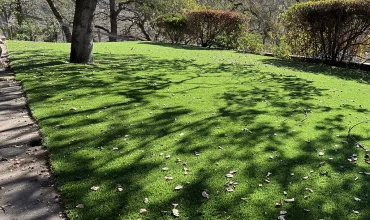 Artificial Grass On Commercial Landscaping