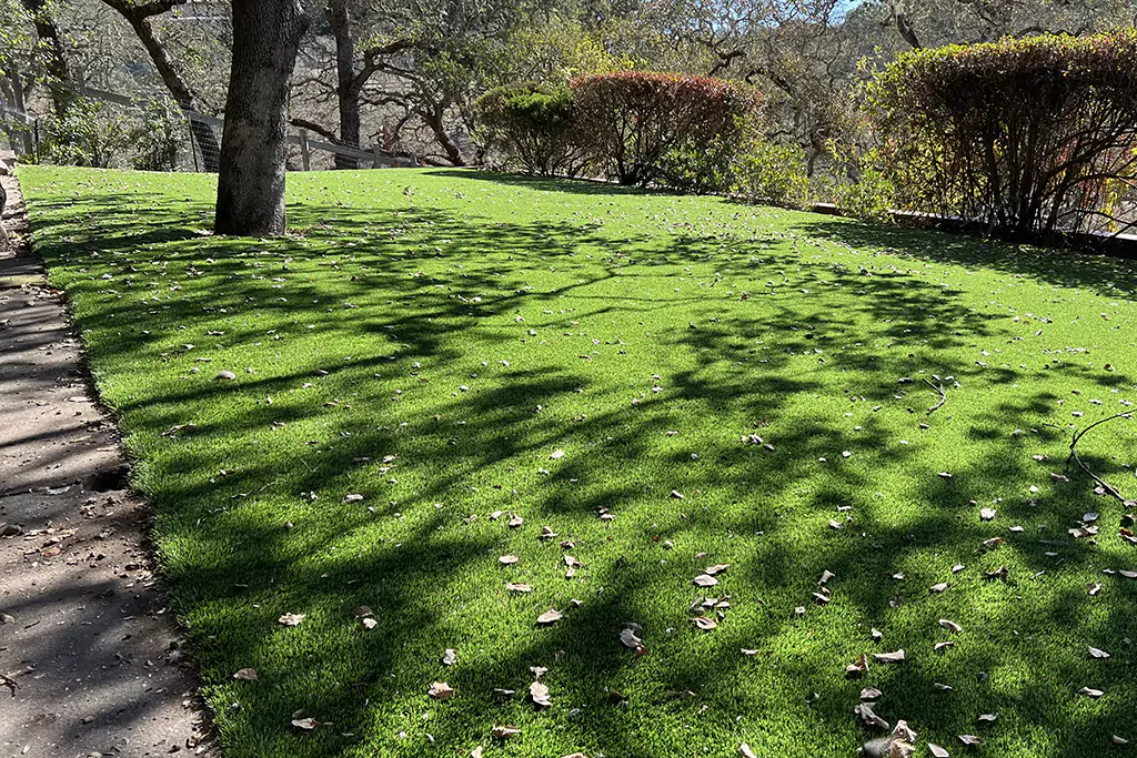 Artificial Grass On Commercial Landscaping