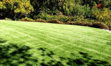 Artificial Grass Is Gaining Popularity