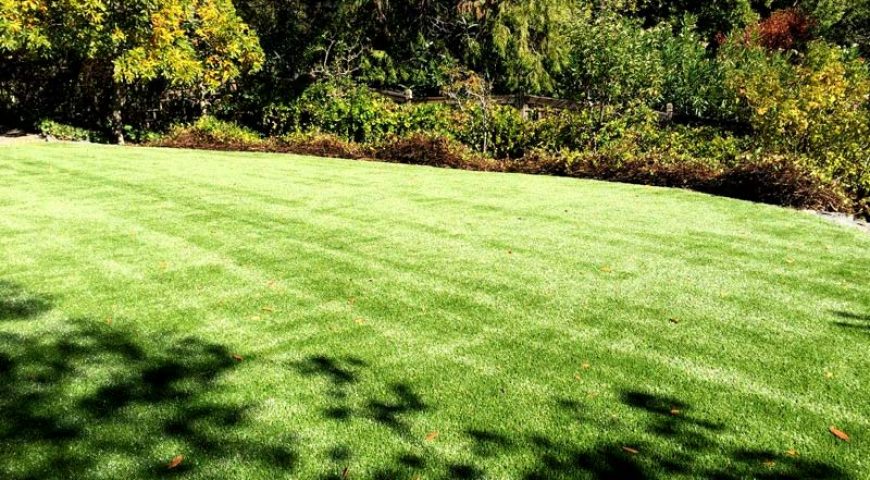 Artificial Grass Is Gaining Popularity