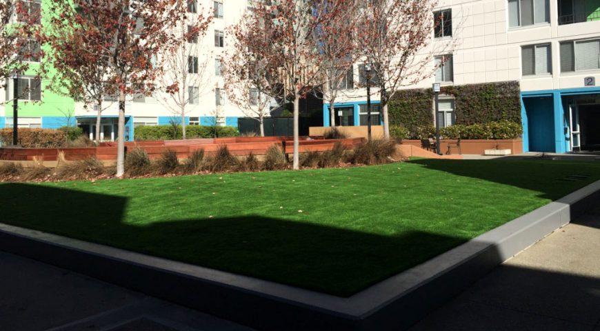 Artificial grass for corporate campuses