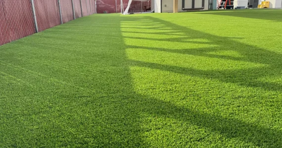 artificial-grass-for-office-buildings-2-66e43e653cc39