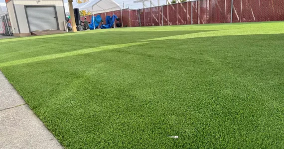 artificial-grass-for-office-buildings-3-66e43e653a733