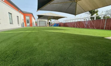 Artificial Grass for Office Buildings