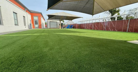 Artificial Grass for Office Buildings