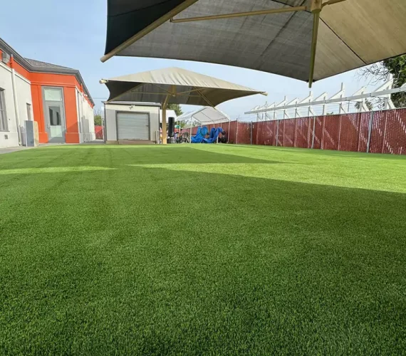 Artificial Grass for Office Buildings