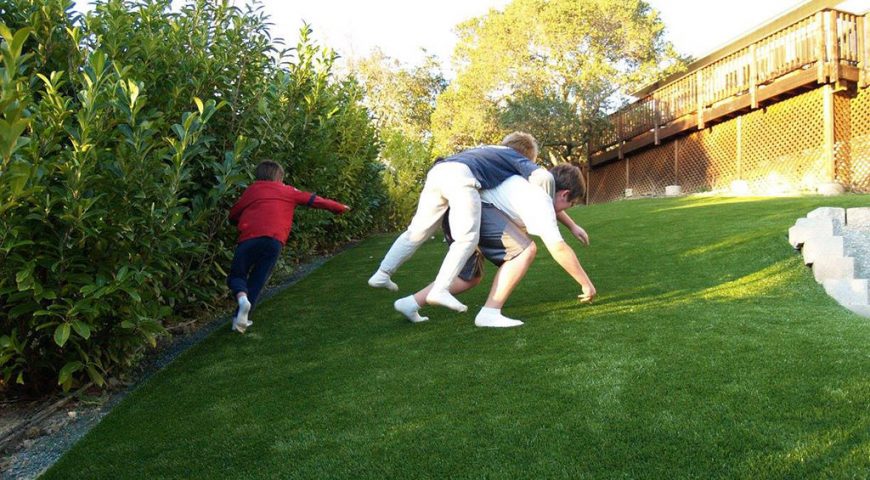 Artificial grass in San Jose CA