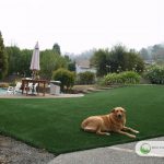 Artificial Grass Dog Run Installation