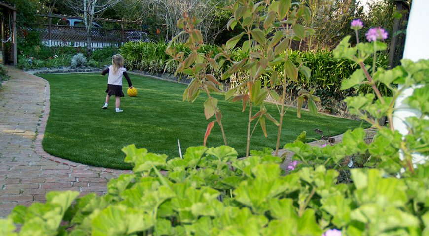 Synthetic grass for our garden and backyards in San Jose