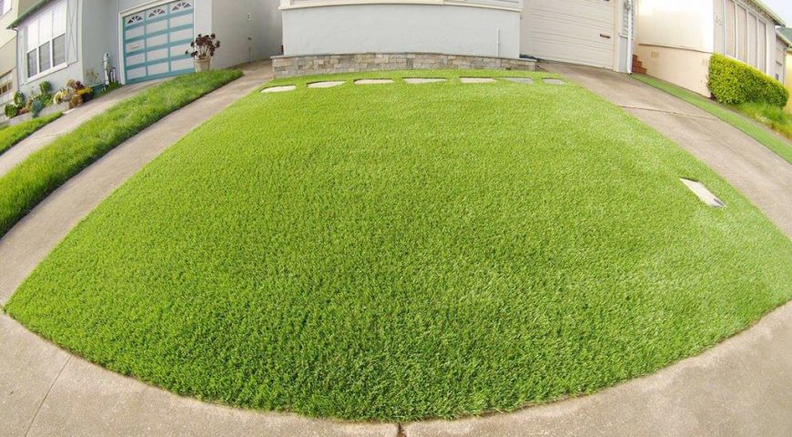 Why choose our artificial grass?