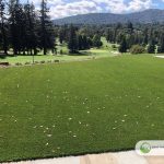 Artificial Grass Installation in Palo Alto