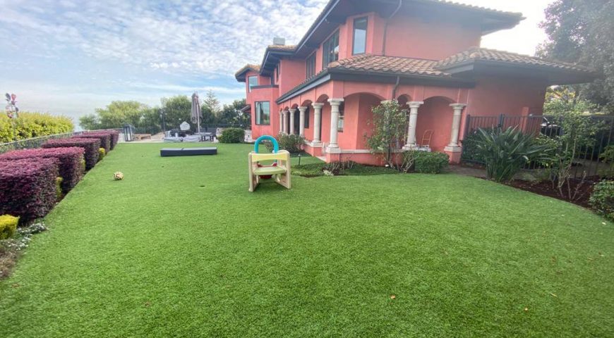 Artificial grass dealers