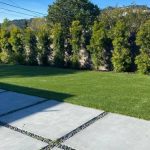 Backyard fake lawn project in Corte Madera, Marín County, San Francisco, California