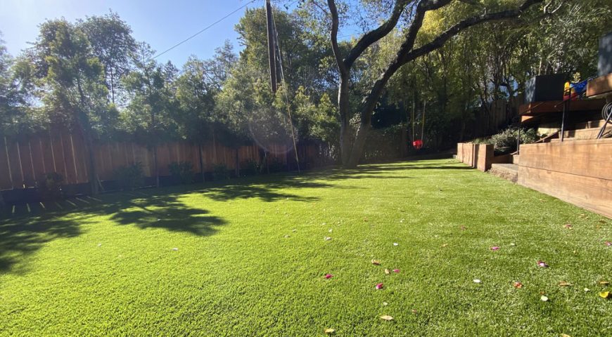 Garden renovation with synthetic lawn: where to buy in california?