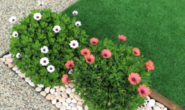 Garden Remodeling with Artificial Grass: Choose the Best Option