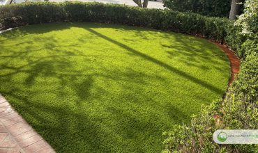 Tips for Updating Your Garden with Artificial Grass