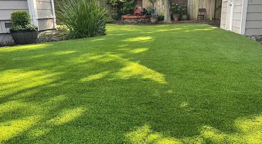 Why Choose Our Artificial Grass for Your California Landscaping Project