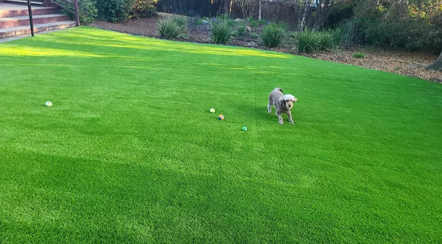5 Key Benefits of Artificial Grass for a Low-Maintenance and Pet-Friendly Backyard