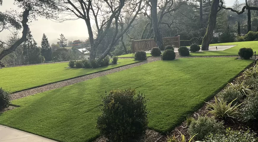Greening Marin County: Artificial Grass Solutions for a Lush Landscape