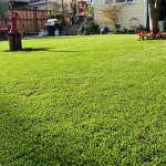 Artificial grass installation