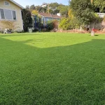 Artificial grass installation