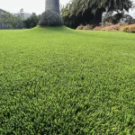 Artificial grass installation in Redwood City California