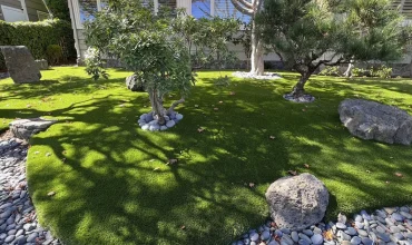 Sustainable Landscapes Artificial Grass as a Water-Saving Solution