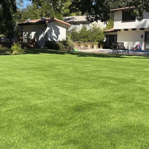 Artificial grass project in Santa Clara, California