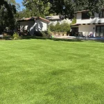 Artificial grass project in Santa Clara, California