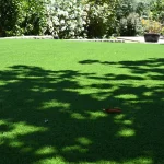 Artificial Putting Greens: Transforming Your Bay Area Backyard