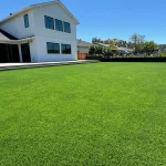 Why Choose Certified Artificial Turf for Your Next Project?